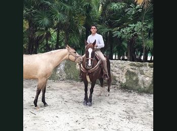 Roomgo MX - Abraham - 26 - Cancún