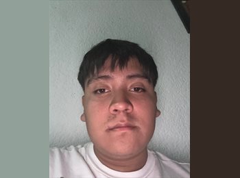 Roomgo MX - Juan pablo - 18 - Querétaro