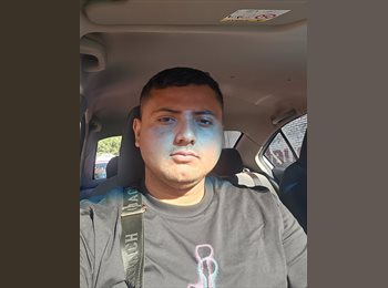 Roomgo MX - Fred - 28 - México - D.F.