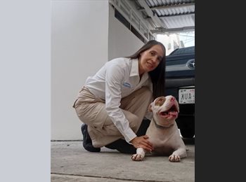 Roomgo MX - Monica Carolina Buitrago Borges - 53 - Querétaro