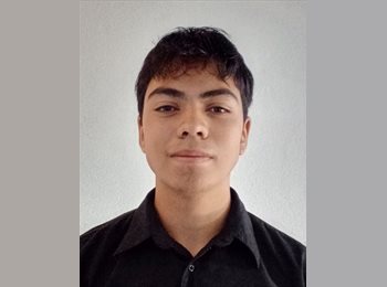 Roomgo MX - Gael Alejandro Martinez Medina  - 18 - Querétaro