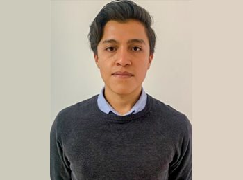 Roomgo MX - Rafael - 28 - Cuauhtémoc