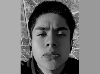 Roomgo MX - Eduardo  - 19 - Puebla