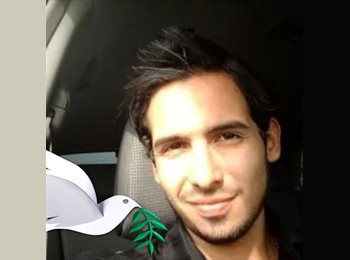 Roomgo MX - Jose - 35 - Cuauhtémoc