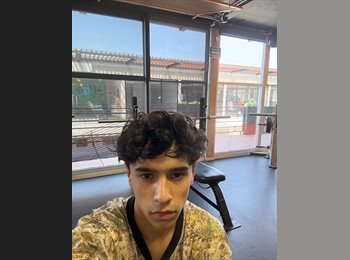Roomgo MX - Eduardo - 20 - Querétaro