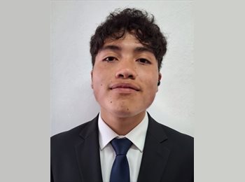 Roomgo MX - Sebastian - 18 - Querétaro