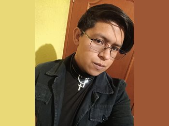 Roomgo MX - Cristian - 23 - Querétaro