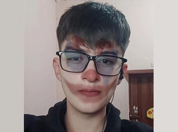 Roomgo MX - Freddy Alexander - 21 - Querétaro