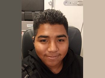 Roomgo MX - Eduardo  - 18 - Cuautitlán Izcalli