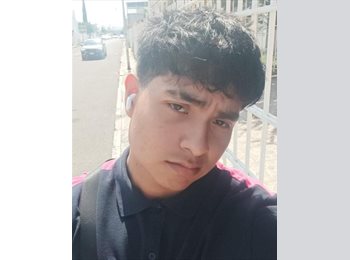 Roomgo MX - José Antonio - 24 - Querétaro