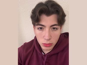 Roomgo MX - Alan David  - 18 - Zapopan