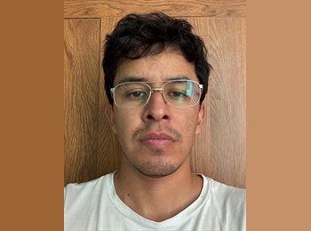 Roomgo MX - daniel - 30 - Querétaro
