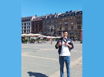 Roomgo MX - Alejandro - 30 - Querétaro