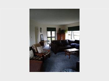 Roomgo NZ - flatmate, Wellington - $190 pw