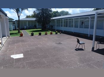 Roomgo NZ - Freda Lodge furnished rooms, Auckland - $300 pw