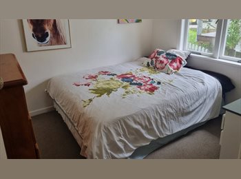 Roomgo NZ - Single room available, Auckland - $250 pw