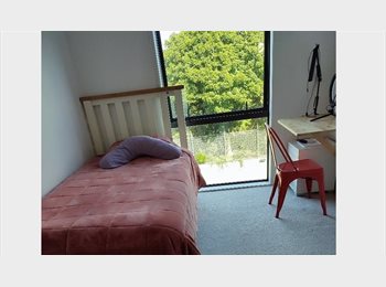 Roomgo NZ - Mt Wellington, Auckland - $300 pw