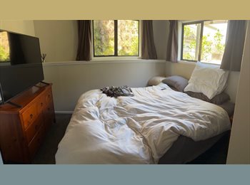 Roomgo NZ - Remuera house, Auckland - $285 pw