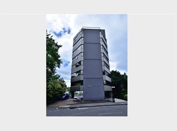 Roomgo NZ - Room Available – Central Auckland (University District / K Rd / CBD), Auckland - $290 pw