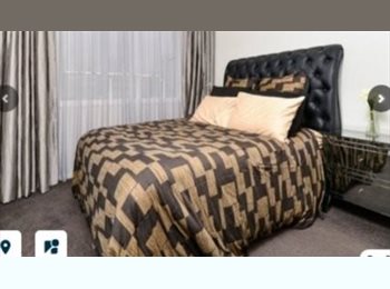Roomgo NZ - Central Location, Hamilton - $285 pw