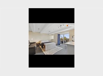 Roomgo NZ - STUDIO STYLE ROOM FOR RENT, Dunedin - $300 pw