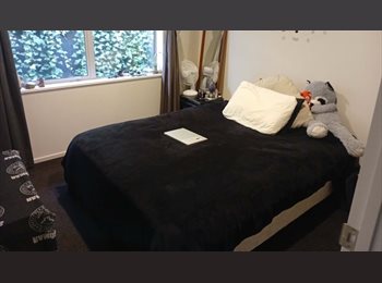Roomgo NZ - Room available in Spreydon, Christchurch - $163 pw