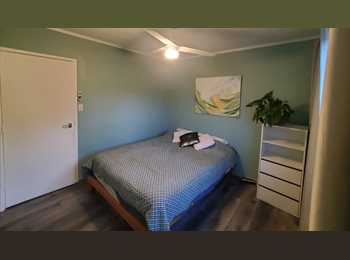 Roomgo NZ - Central and Sunny room available, Auckland - $240 pw