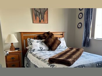 Roomgo NZ - Double furnished bedroom in Pyes Pa, Tauranga - $240 pw