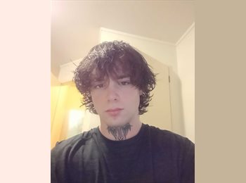 Roomgo NZ - Texas - 19 - Hamilton