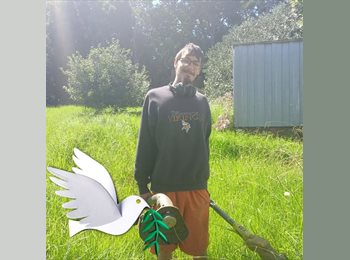 Roomgo NZ - Storm - 32 - Auckland