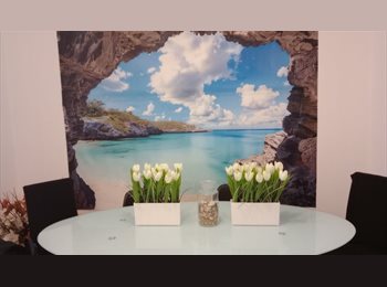 Roomgo PT - Central Funchal Room, Madeira - 80 € Por mês