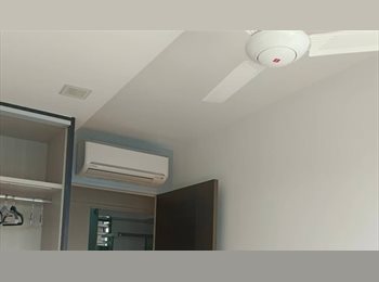 Roomgo SG - Rare, ONLY 1 in whole Singapore, HURRY, DON'T MISS. Walking 1 min TO LRT & 5 min to MRT, Punggol - $1,700 pm