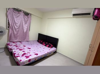 Roomgo SG - Common Room @ AMK 107 next to MRT station, Ang Mo Kio - $1,300 pm