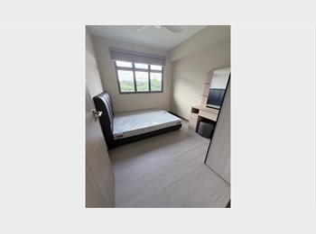 Roomgo SG - I have a brand new common room to rent it out, Sembawang - $950 pm