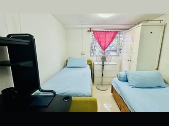 Roomgo SG - Ang Mo Kio Blk 554 clean & cozy room at SGD650 for rent, Ang Mo Kio - $652 pm