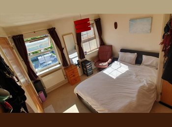 Roomgo UK - Friendly Relaxed Intelligent Mature Fun Healthy, Wolsey Island - £620 pcm