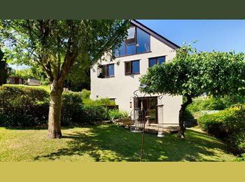 Roomgo UK - Double room available in detached house, Newton Abbot - £750 pcm