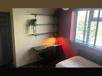 Roomgo UK - Bright D room 5 minutes from tube, Cockfosters - £750 pcm