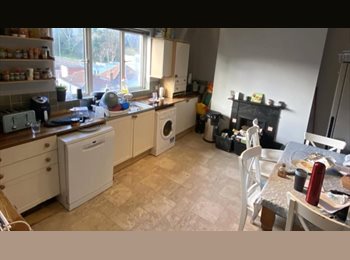 Roomgo UK - ROOM AVAILABLE IN CLIFTON FOR 2026/27 ACADEMIC YEAR, Spike Island - £898 pcm