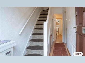 Roomgo UK - Lovely house to share, Belfast - £420 pcm