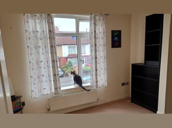 Roomgo UK - Double Room in Bright, Cozy Flat – North Bristol (Gloucester Road), Filton - £525 pcm