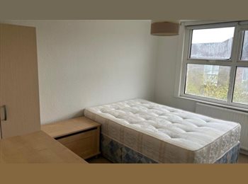 Roomgo UK - Double Room- 30 mins from Central London, Stamford Hill - £900 pcm