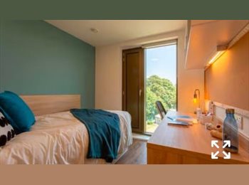 Roomgo UK - Bankside Standard Riverside En-Suite Room - Occupant replacement, Guildford - £245 pcm