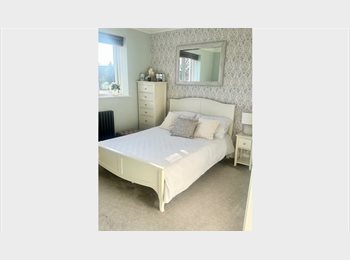 Roomgo UK - DOUBLE ROOM WITH TV INC ALL BILLS, Chelmsford - £750 pcm