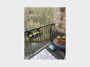 Roomgo UK - Room for rent, West Park - £565 pcm