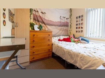 Roomgo UK - Three double bedrooms to share in a house, Bournbrook - £464 pcm