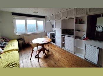 Roomgo UK - 3 double bedroom flat - bills included, Withdean - £1,995 pcm