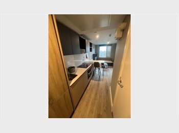 Roomgo UK - Brand New 12th Floor Studio with Panoramic London Views, Deptford - £1,630 pcm