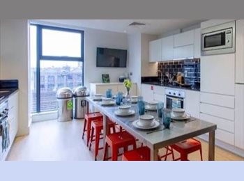 Roomgo UK - En-suite room in luxury student accommodation, Vauxhall - £1,600 pcm