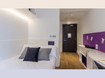 Roomgo UK - En-suite room in luxury student accommodation, Vauxhall - £1,600 pcm
